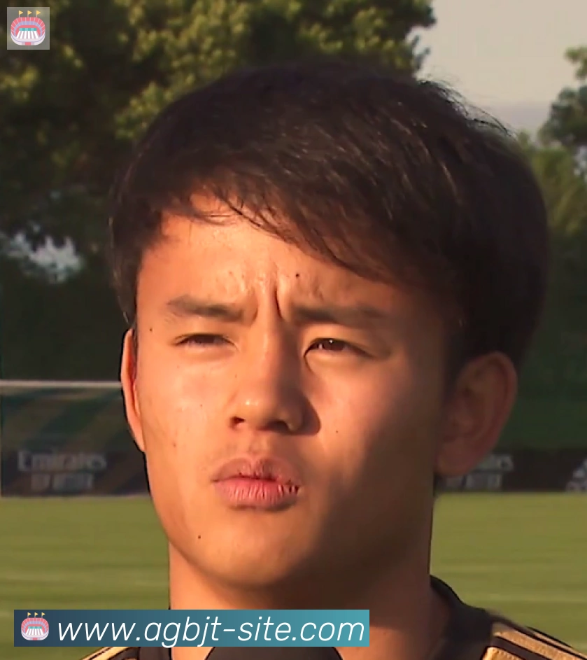 维尼修斯